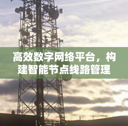 高效数字网络平台,构建智能节点线路管理 高效数字网络平台,构建智能节点线路管理
