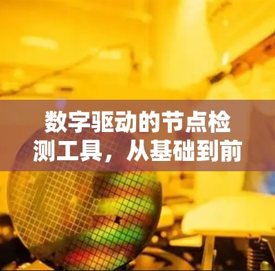 数字驱动的节点检测工具,从基础到前沿 数字驱动的节点检测工具,从基础到前沿