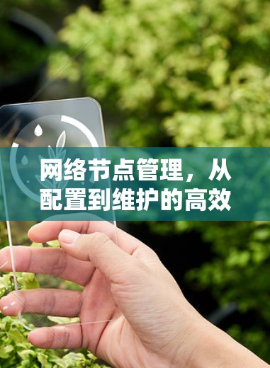网络节点管理,从配置到维护的高效管理 网络节点管理,从配置到维护的高效管理