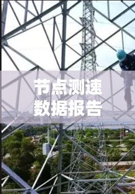 节点测速数据报告,数据收集与分析技术解析 节点测速数据报告,数据收集与分析技术解析