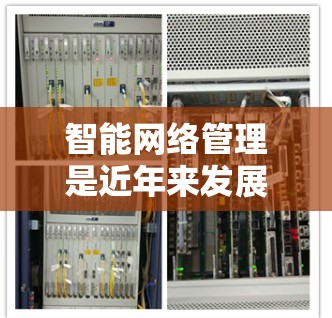智能网络管理是近年来发展迅速的网络技术领域,旨在通过自动化和智能化手段优化网络流量和资源分配,以提升网络性能和稳定性。以下是对智能网络管理的详细总结 智能网络管理是近年来发展迅速的网络技术领域,旨在通过自动化和智能化手段优化网络流量和资源分配,以提升网络性能和稳定性。以下是对智能网络管理的详细总结