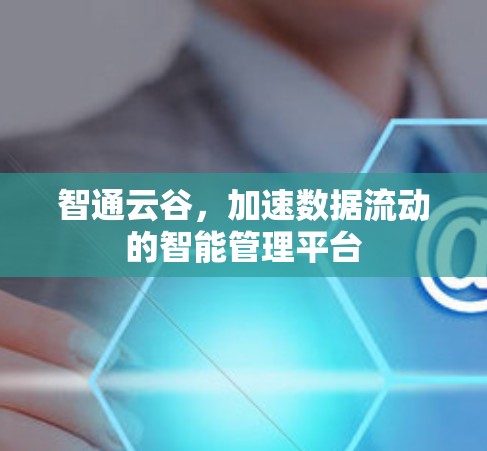 智通云谷,加速数据流动的智能管理平台 智通云谷,加速数据流动的智能管理平台