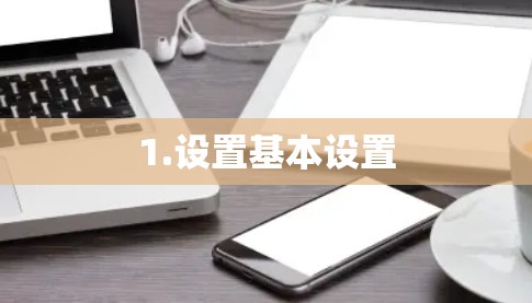 1.设置基本设置 1.设置基本设置