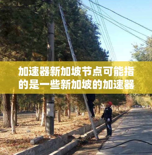 加速器新加坡节点可能指的是一些新加坡的加速器项目或设施,具体含义可能因上下文而异。以下是一些可能相关的信息 加速器新加坡节点可能指的是一些新加坡的加速器项目或设施,具体含义可能因上下文而异。以下是一些可能相关的信息