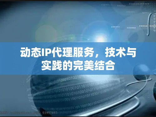 动态IP代理服务，技术与实践的完美结合