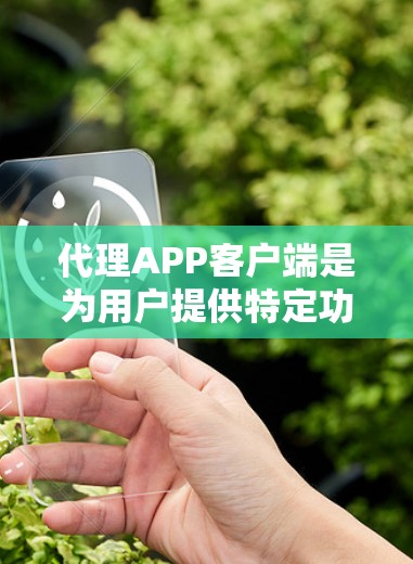 代理APP客户端是为用户提供特定功能的第三方APP，通常用于获取实时信息、视频通话或在线支付等。以下是对代理APP客户端的详细分析
